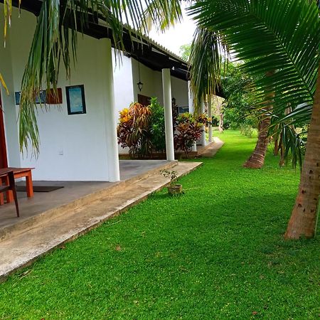 Hideaway Homestay Habarana Zewnętrze zdjęcie