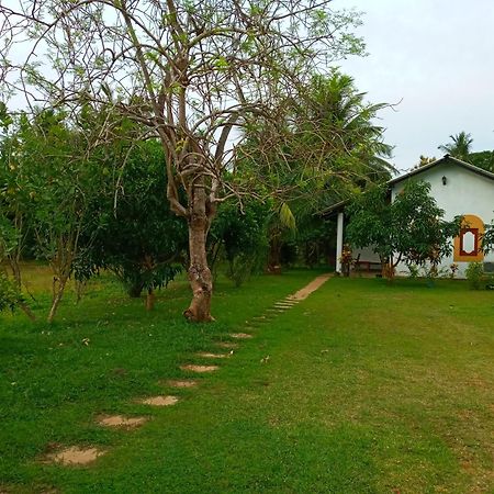 Hideaway Homestay Habarana Zewnętrze zdjęcie