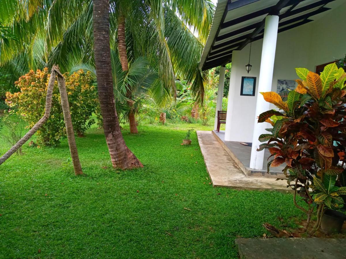 Hideaway Homestay Habarana Zewnętrze zdjęcie