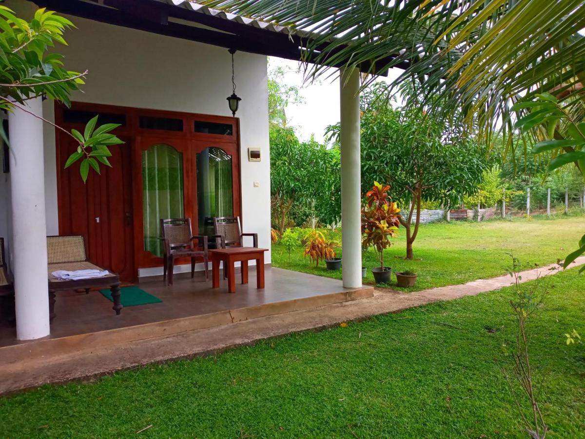 Hideaway Homestay Habarana Zewnętrze zdjęcie