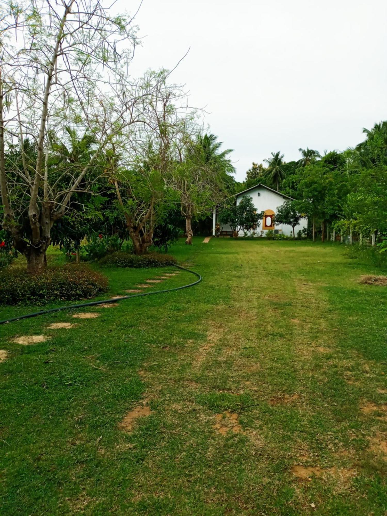 Hideaway Homestay Habarana Zewnętrze zdjęcie