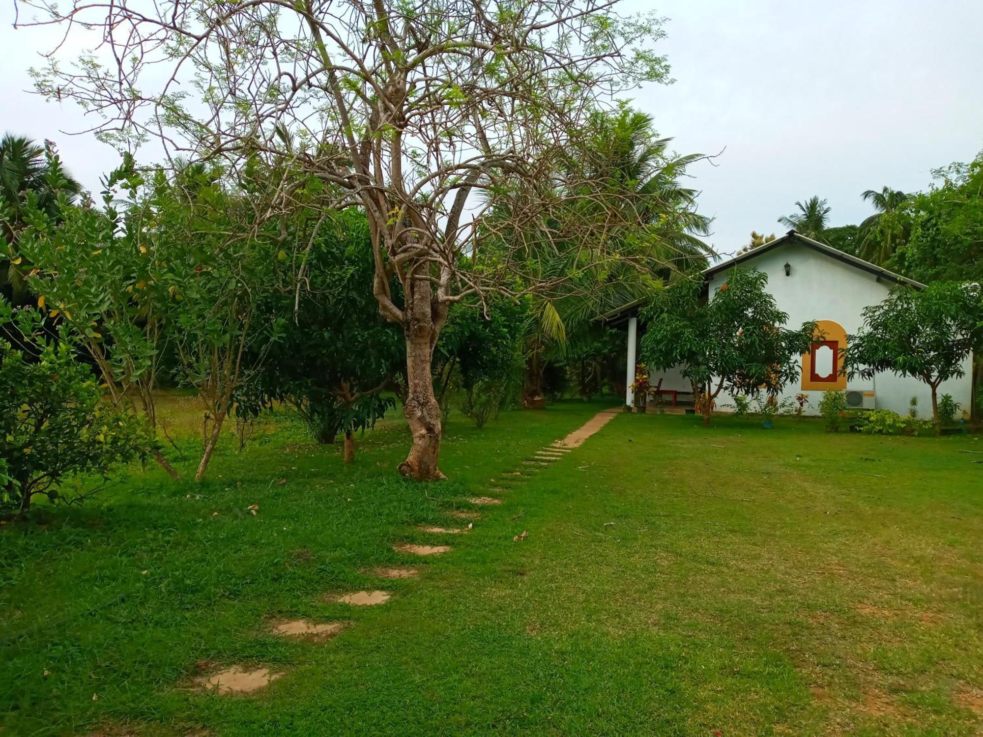 Hideaway Homestay Habarana Zewnętrze zdjęcie