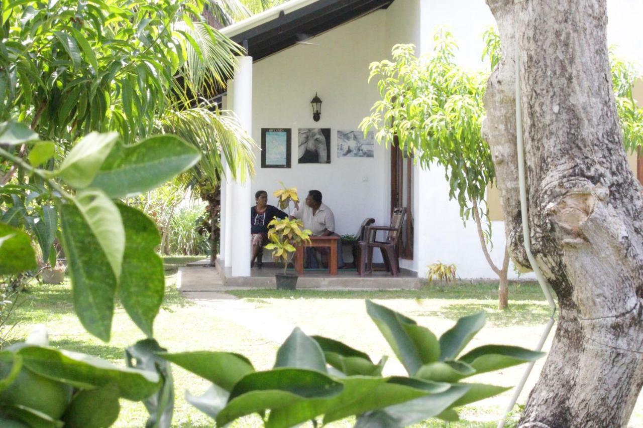 Hideaway Homestay Habarana Zewnętrze zdjęcie