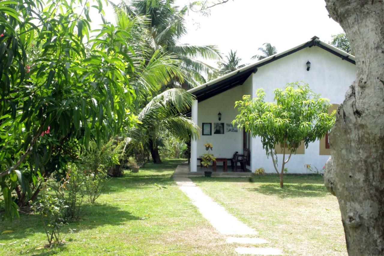 Hideaway Homestay Habarana Zewnętrze zdjęcie